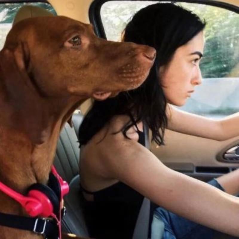 惠州旅游私人導游影視經紀人受璐佩