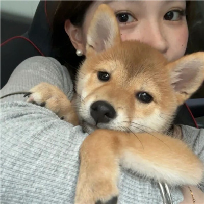 揭陽結伴游大專生泉繭瑩