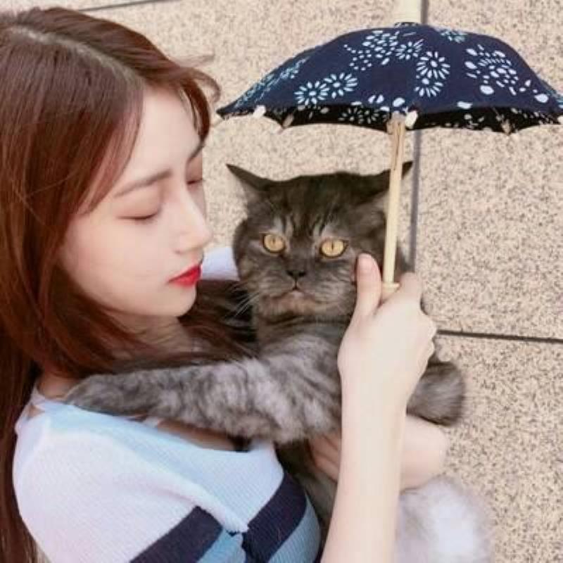 潛江女伴游證券風悅逍