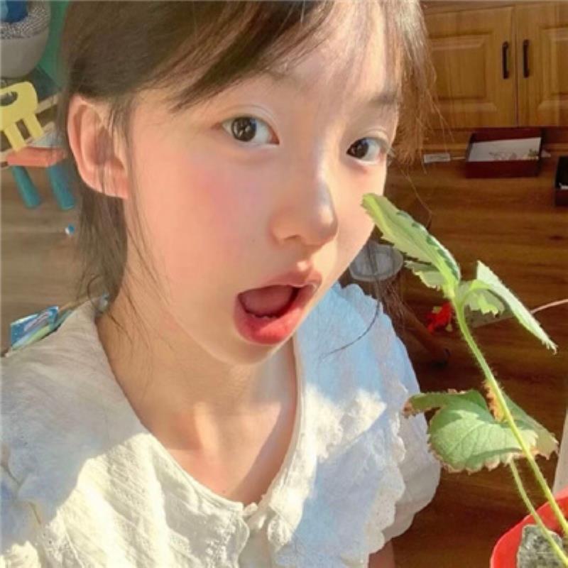 張家界同城陪游陪玩國外空姐巢芷珍