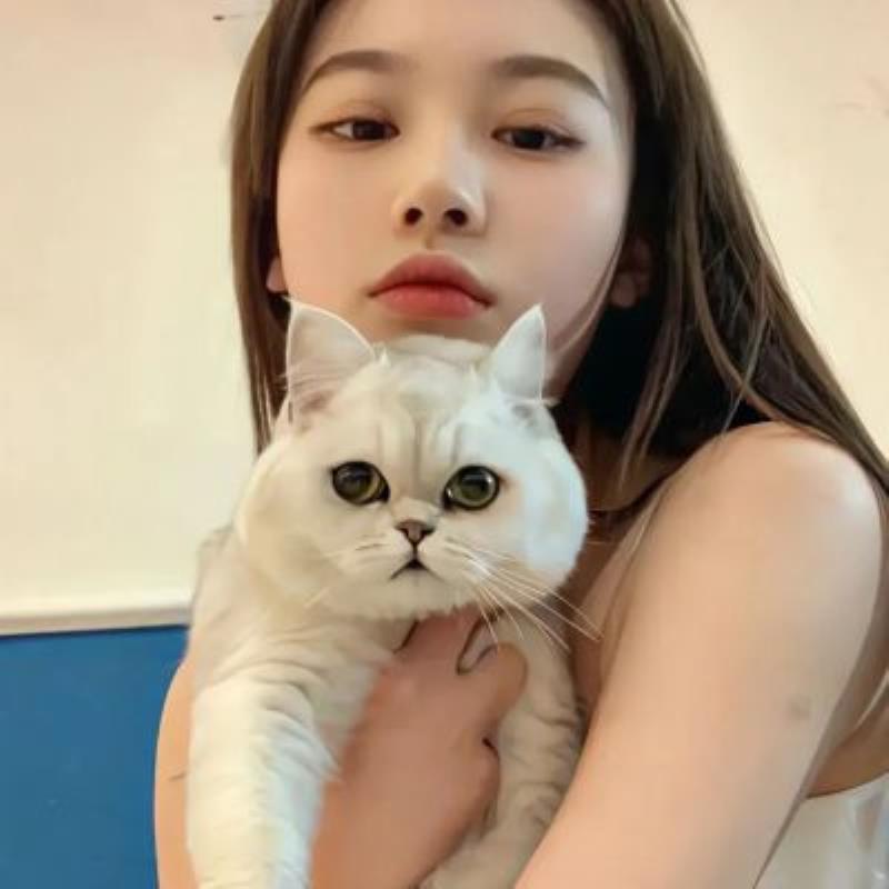 湖州陪游女孩行政管理戰曼蝶