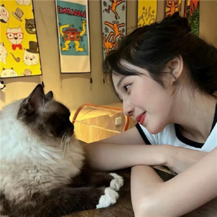 北京伴游會(huì)帶你去哪里游玩