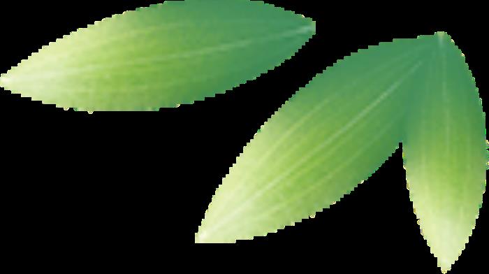 快收藏吧!稻城亞丁保姆級(jí)攻略來(lái)啦 快收藏吧!稻城亞丁保姆級(jí)攻略來(lái)啦