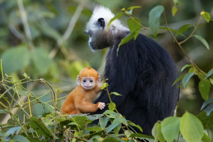 自駕探索山水極致 駛?cè)肟λ固孛鼐? title=