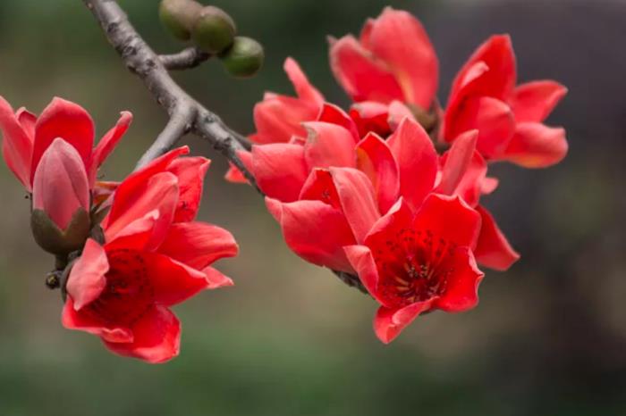 自駕探索山水極致 駛?cè)肟λ固孛鼐? title=