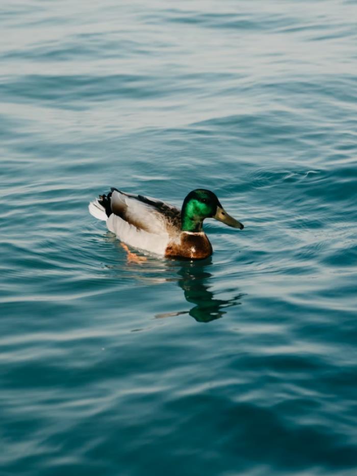 自駕探索山水極致 駛?cè)肟λ固孛鼐? title=