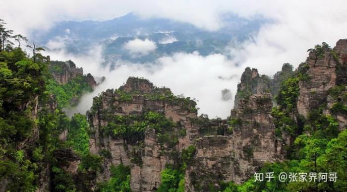 張家界旅游不請?zhí)茁返膶?shí)在私人導(dǎo)游的費(fèi)用是多少合適? 張家界旅游不請?zhí)茁返膶?shí)在私人導(dǎo)游的費(fèi)用是多少合適?