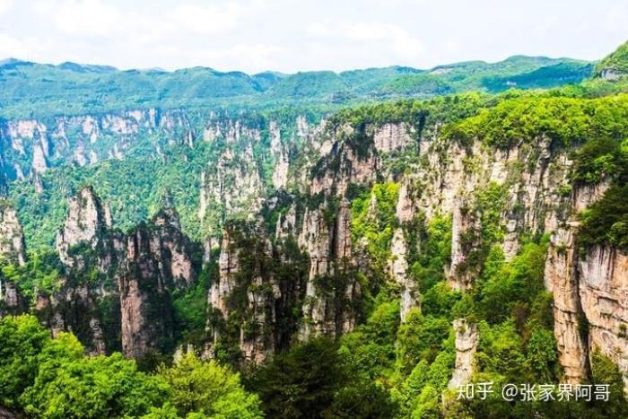 張家界旅游不請?zhí)茁返膶?shí)在私人導(dǎo)游的費(fèi)用是多少合適? 張家界旅游不請?zhí)茁返膶?shí)在私人導(dǎo)游的費(fèi)用是多少合適?