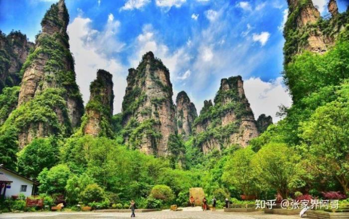 張家界旅游不請?zhí)茁返膶?shí)在私人導(dǎo)游的費(fèi)用是多少合適? 張家界旅游不請?zhí)茁返膶?shí)在私人導(dǎo)游的費(fèi)用是多少合適?