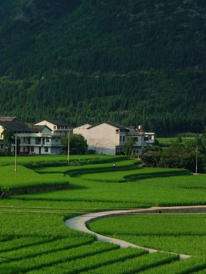 被封“中國最美”，全國唯一沒有平原的貴州省，每處山水都封神！