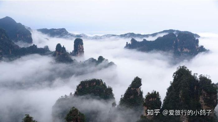 張家界請(qǐng)一個(gè)導(dǎo)游,不強(qiáng)制自費(fèi)景點(diǎn),不進(jìn)購(gòu)物店 張家界請(qǐng)一個(gè)導(dǎo)游,不強(qiáng)制自費(fèi)景點(diǎn),不進(jìn)購(gòu)物店