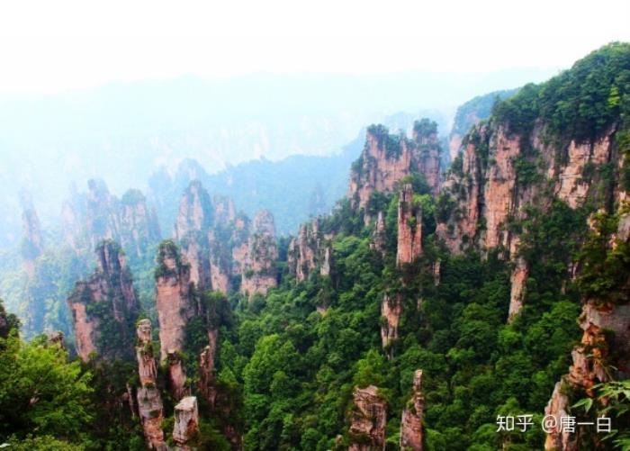 張家界導(dǎo)游怎么找一位專車專導(dǎo)的靠譜導(dǎo)游? 張家界導(dǎo)游怎么找一位專車專導(dǎo)的靠譜導(dǎo)游?