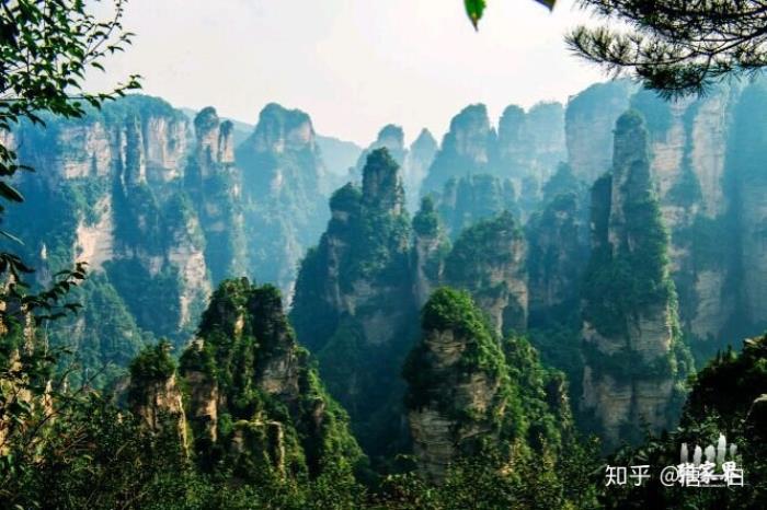 張家界導(dǎo)游怎么找一位專車專導(dǎo)的靠譜導(dǎo)游? 張家界導(dǎo)游怎么找一位專車專導(dǎo)的靠譜導(dǎo)游?