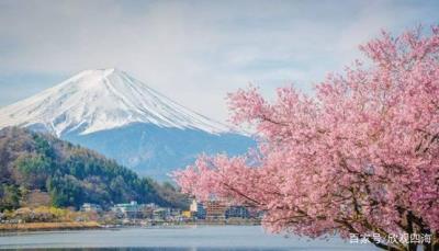 中國小伙在日本大賺特賺，感嘆日本伴游服務質