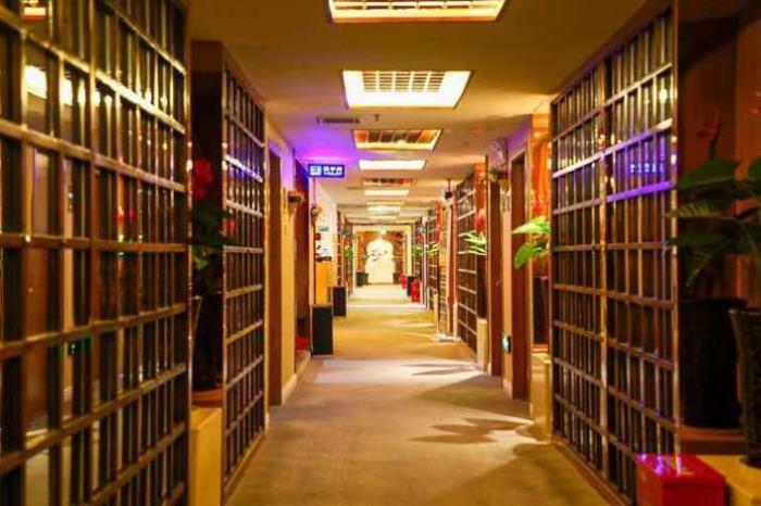 【孫婷】做商務(wù)伴游要先交錢嗎，明星商務(wù)分享模特訪夢