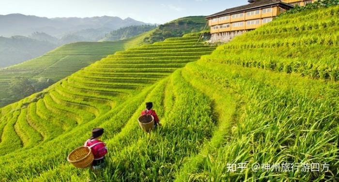 找桂林知名地接導游需注意什么桂林陽朔游玩,看到好多網(wǎng)友在網(wǎng)上推薦 找桂林知名地接導游需注意什么桂林陽朔游玩,看到好多網(wǎng)友在網(wǎng)上推薦