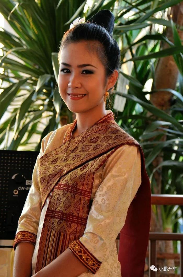 你對越南的私人導游能提供哪些服務？(組圖)