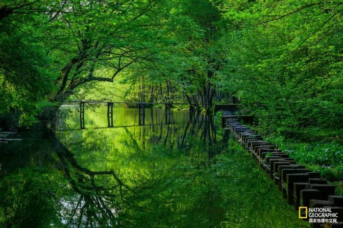 徽州歸來不看春,中國江南春意的最高潮! 徽州歸來不看春,中國江南春意的最高潮!