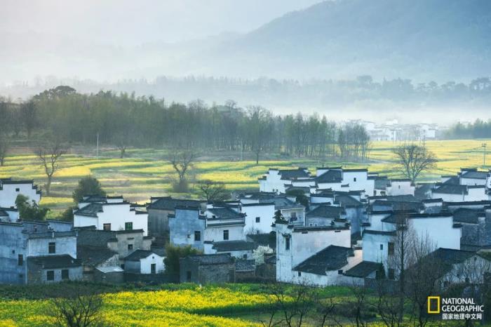 徽州歸來不看春,中國江南春意的最高潮! 徽州歸來不看春,中國江南春意的最高潮!