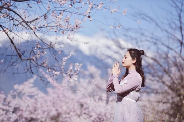 年年賣爆的西藏林芝桃花 解鎖全新玩法! 年年賣爆的西藏林芝桃花 解鎖全新玩法!