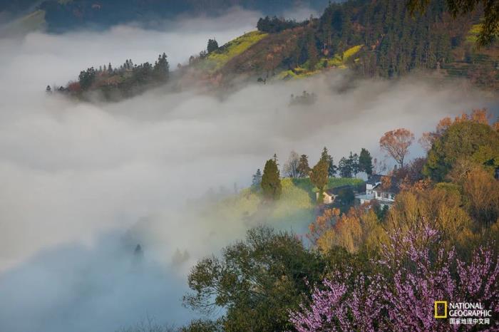 徽州歸來不看春,中國江南春意的最高潮! 徽州歸來不看春,中國江南春意的最高潮!