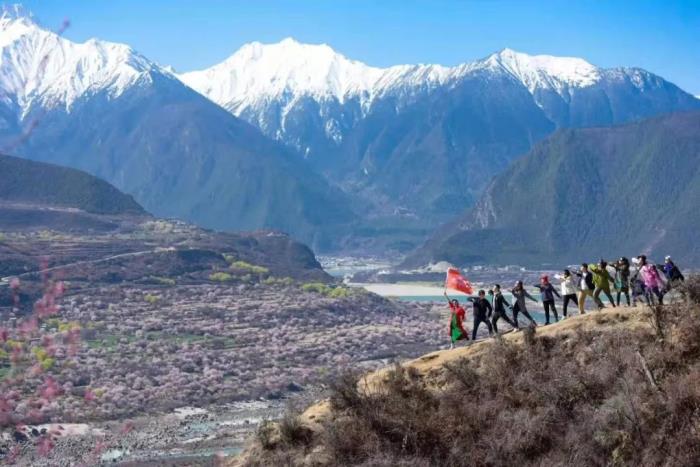 年年賣爆的西藏林芝桃花 解鎖全新玩法! 年年賣爆的西藏林芝桃花 解鎖全新玩法!