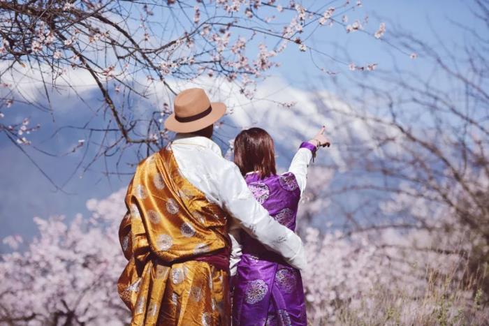 年年賣爆的西藏林芝桃花 解鎖全新玩法! 年年賣爆的西藏林芝桃花 解鎖全新玩法!