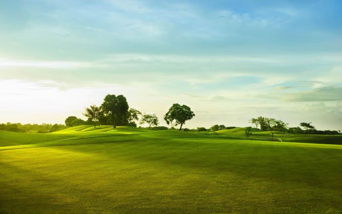 想要更專業舒心的旅游服務？伴游了解一下