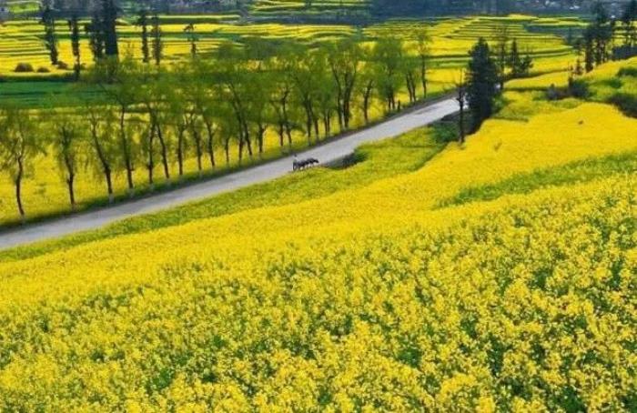 四月,這些浪漫的旅游景點,適合邂逅愛情 四月,這些浪漫的旅游景點,適合邂逅愛情