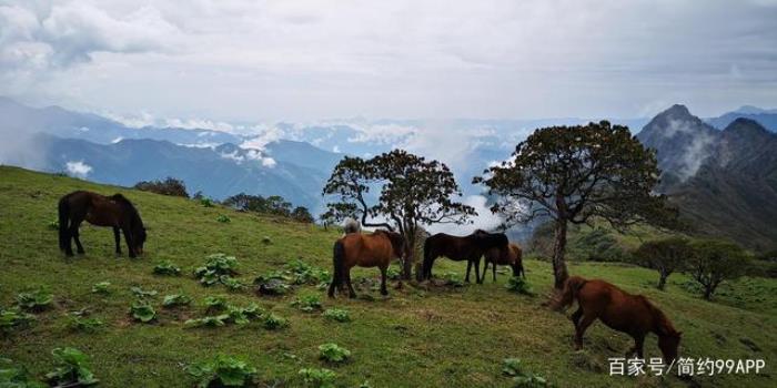 稱職的商務伴游不可或缺的外形顏值:牧馬及要求 稱職的商務伴游不可或缺的外形顏值:牧馬及要求