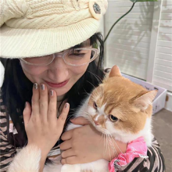 如何提升商務伴游的團隊協作能力