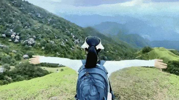 不到雞籠頂,枉為廣東人!原來,中國絕美的高山草原杜鵑花海在這里