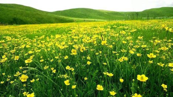 九寨溝僅占1%的美,阿壩州13縣,處處是天堂!