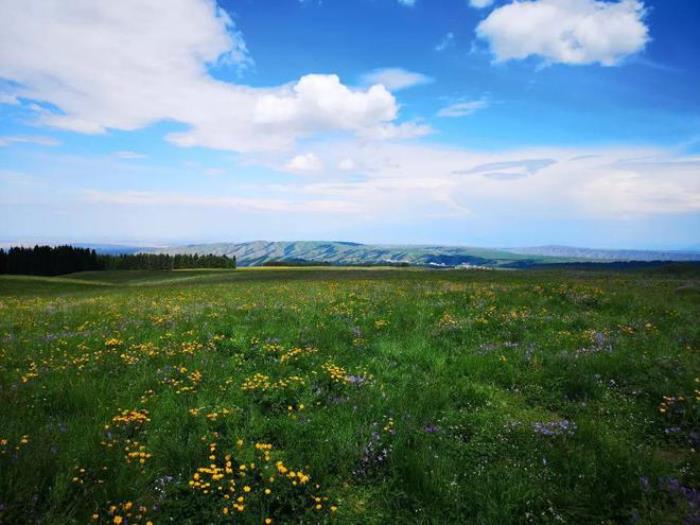 烏魯木齊周邊除了天山天池，還有個地方值得一去，安靜游客少