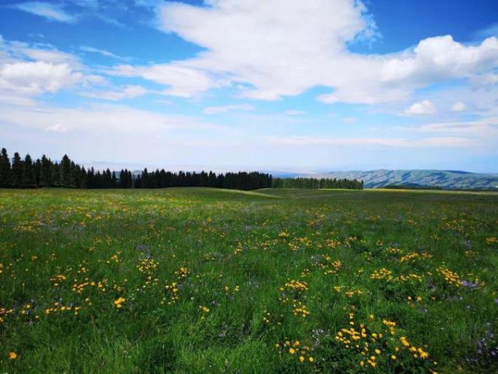 烏魯木齊周邊除了天山天池，還有個地方值得一去，安靜游客少