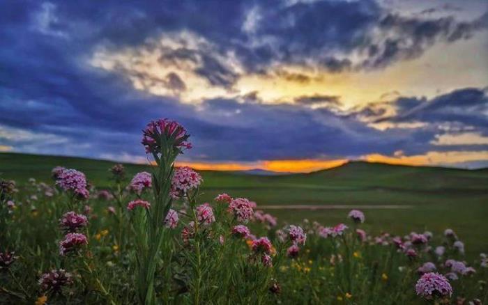 遇見(jiàn)甘南草原、黃河濕地、安多藏族風(fēng)情