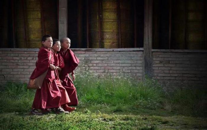 遇見(jiàn)甘南草原、黃河濕地、安多藏族風(fēng)情