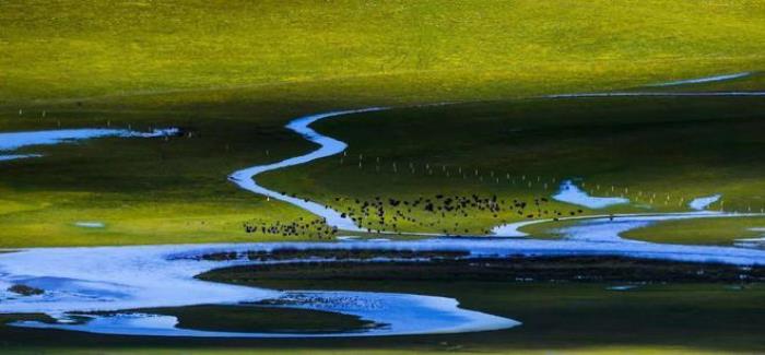 遇見(jiàn)甘南草原、黃河濕地、安多藏族風(fēng)情