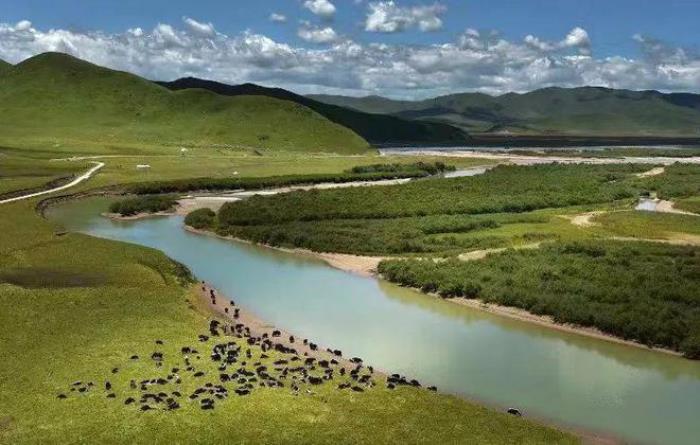 遇見(jiàn)甘南草原、黃河濕地、安多藏族風(fēng)情