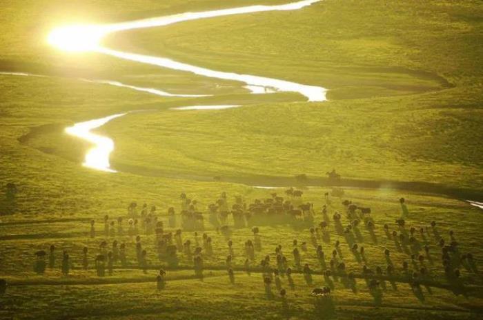 遇見(jiàn)甘南草原、黃河濕地、安多藏族風(fēng)情