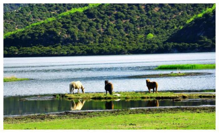 中國8大國家級公園,藏著世界級美景 中國8大國家級公園,藏著世界級美景