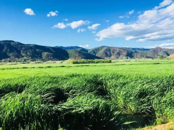 云南不可不去的地方 瀘沽湖旅游攻略之保姆級指南