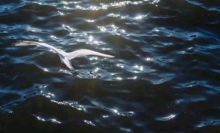 去昆明，邂逅寒冷冬日的春暖花開