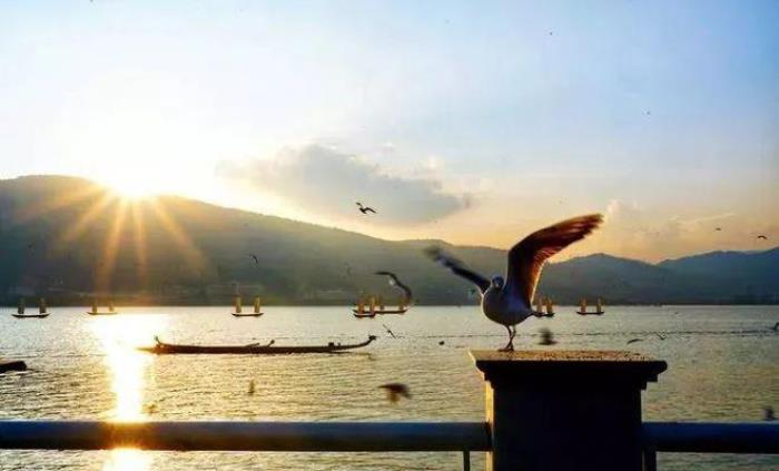 去昆明，邂逅寒冷冬日的春暖花開