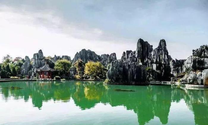 去昆明，邂逅寒冷冬日的春暖花開