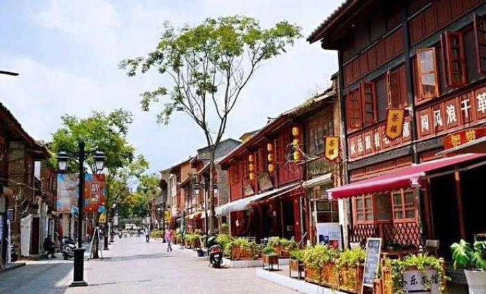 去昆明，邂逅寒冷冬日的春暖花開