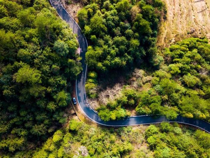 最美的風景,永遠在路上!適合春天出發的5條自駕路線,出發吧! 最美的風景,永遠在路上!適合春天出發的5條自駕路線,出發吧!