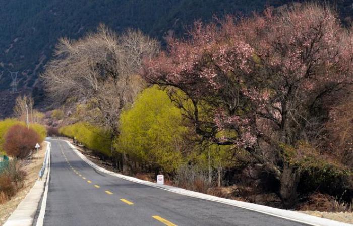 最美的風景,永遠在路上!適合春天出發的5條自駕路線,出發吧! 最美的風景,永遠在路上!適合春天出發的5條自駕路線,出發吧!