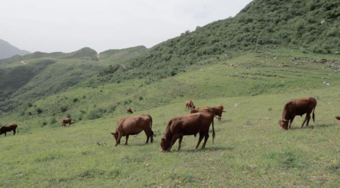 說走就走!西安周邊3個徒步好去處