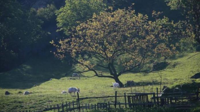 說走就走!西安周邊3個徒步好去處